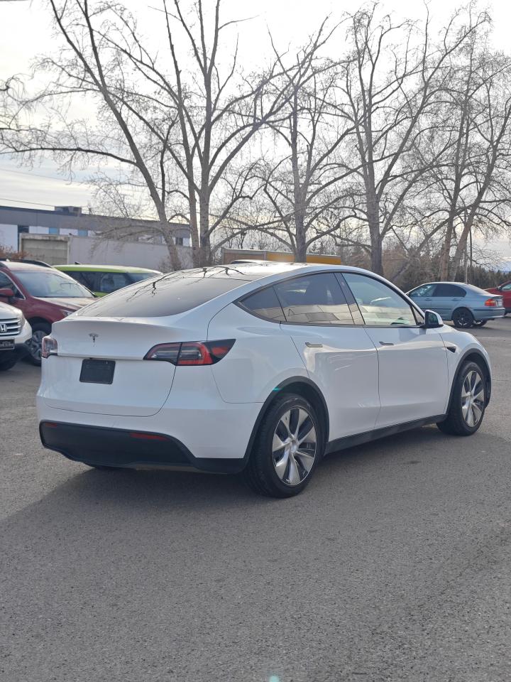 2021 Tesla Model Y  - Photo #6