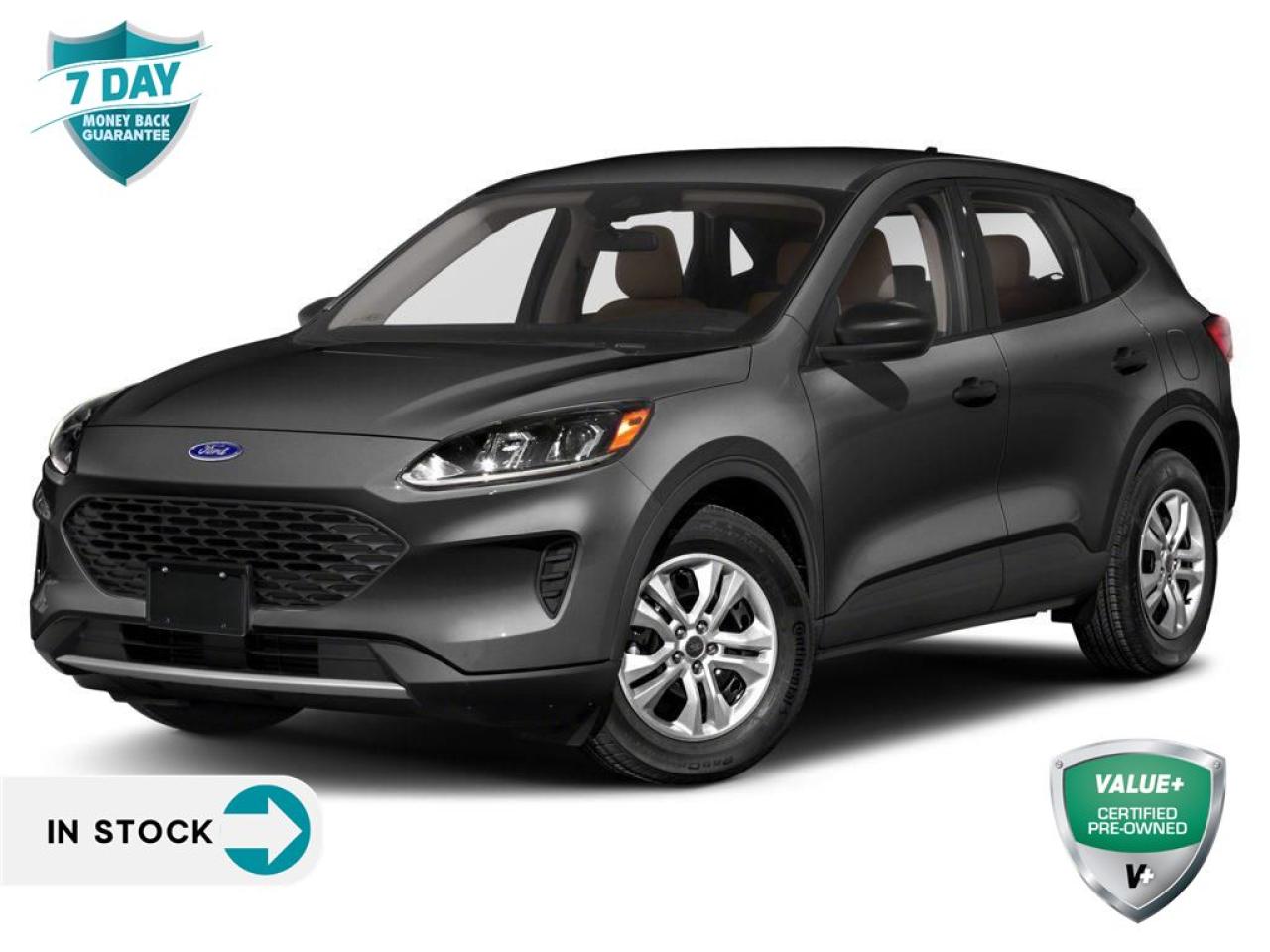 Used 2022 Ford Escape S for sale in Sault Ste. Marie, ON