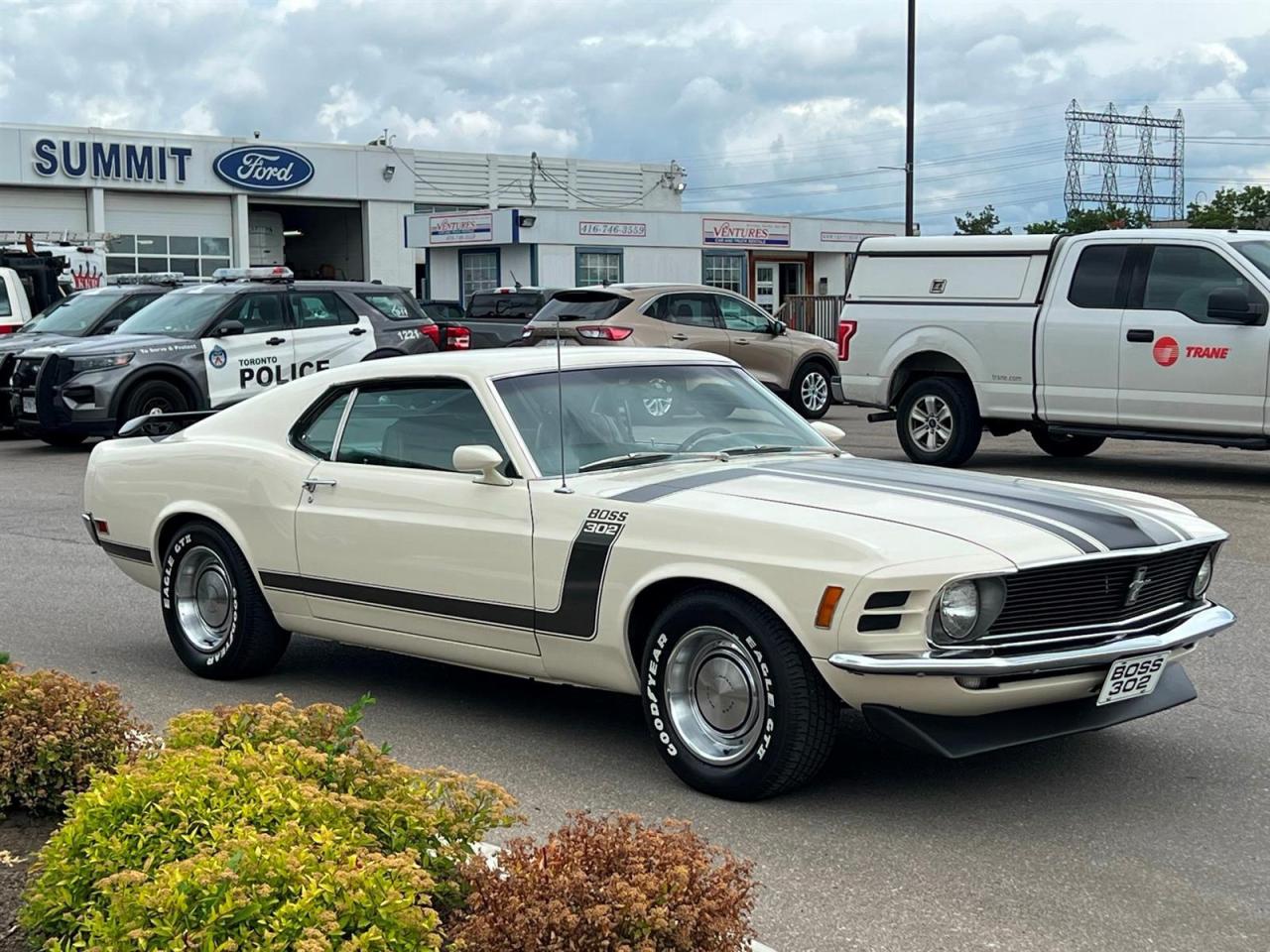 1970 Ford Mustang BOSS302 Photo3