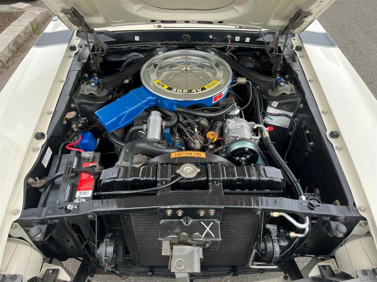 1970 Ford Mustang BOSS302 Photo