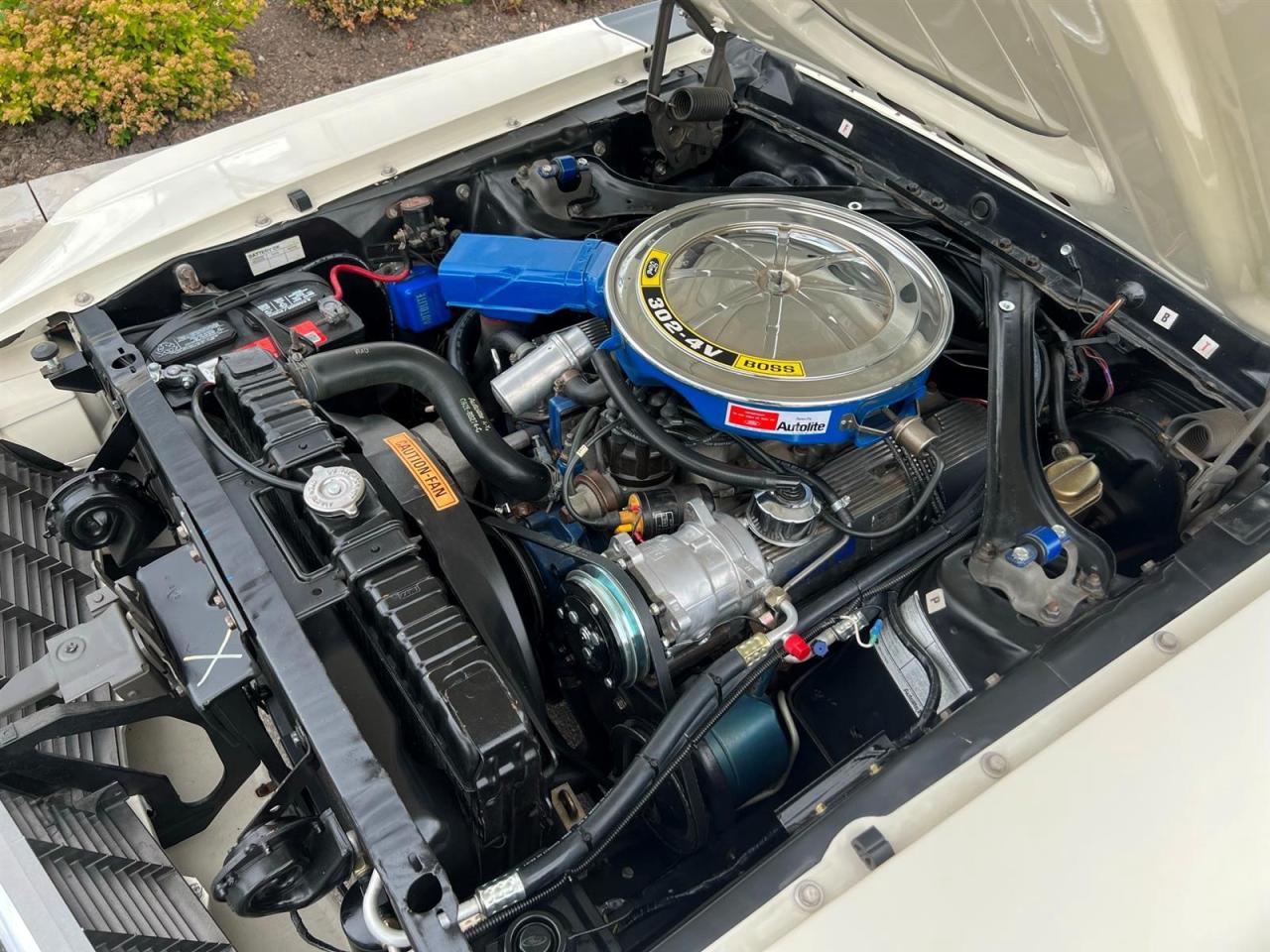 1970 Ford Mustang BOSS302 Photo