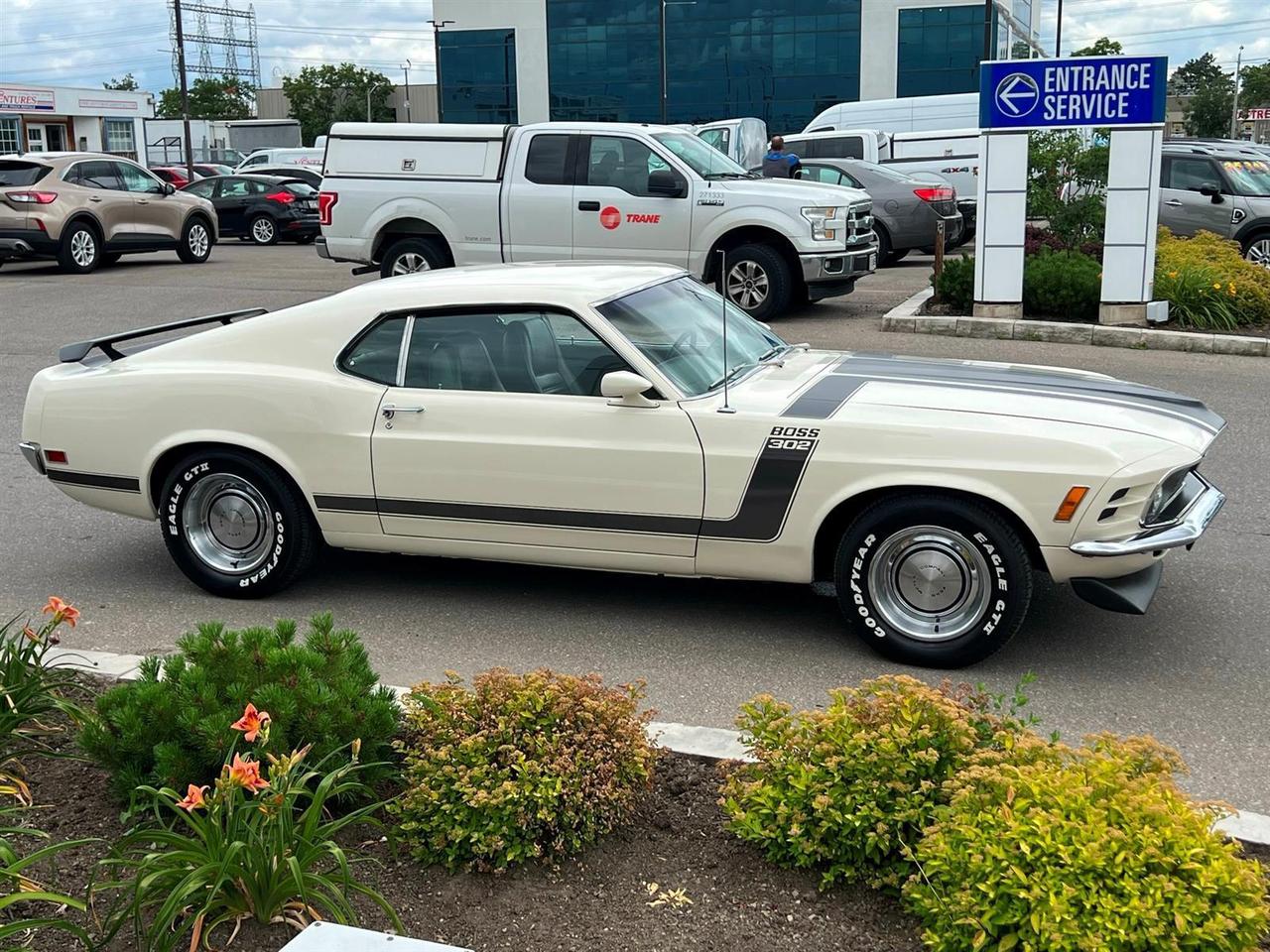 1970 Ford Mustang BOSS302 Photo