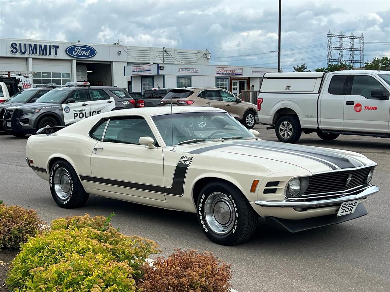1970 Ford Mustang BOSS302 Photo