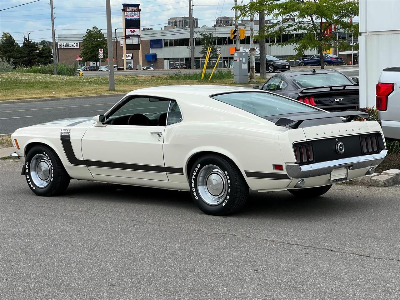1970 Ford Mustang BOSS302 Photo