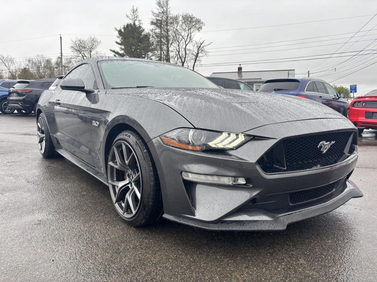 Used 2019 Ford Mustang GT / PREMIUM COUPE for sale in Truro, NS