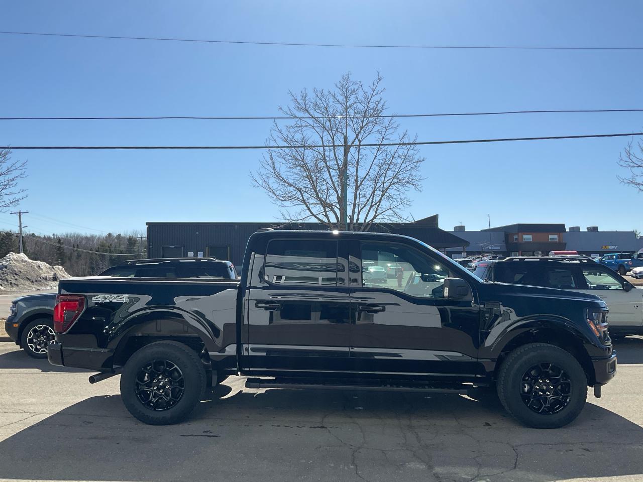 2025 Ford F-150 XLT Photo5