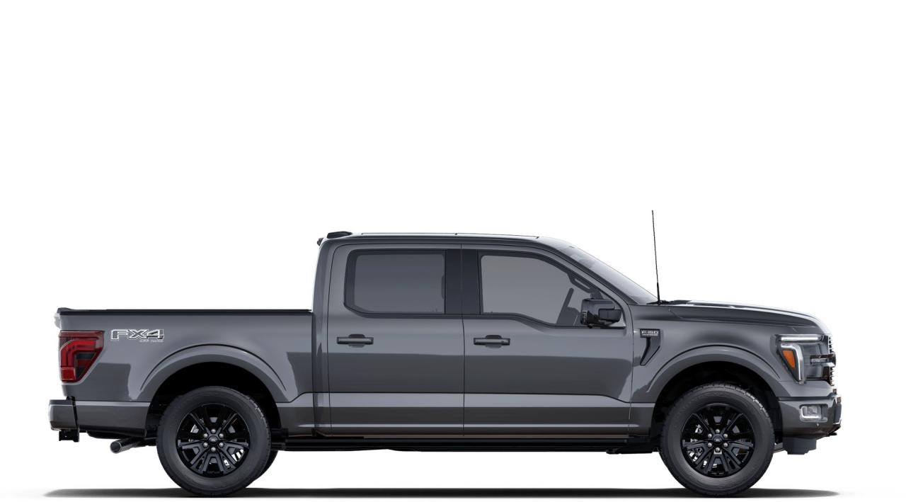 2025 Ford F-150 4x4 Platinum-145 Photo4