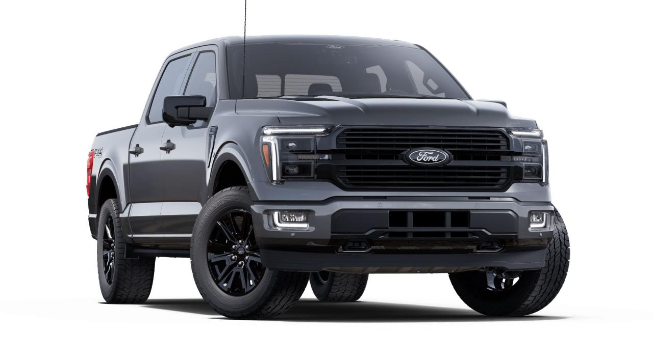 2025 Ford F-150 4x4 Platinum-145 Photo3