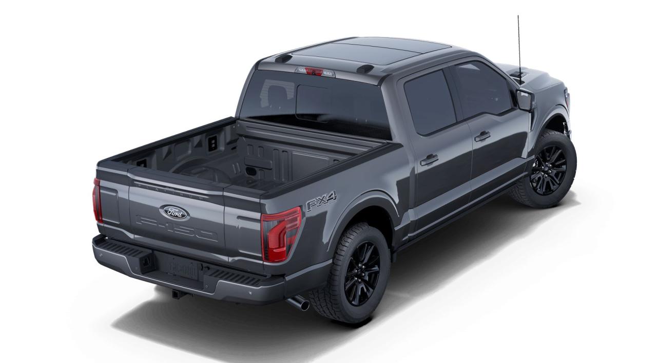 2025 Ford F-150 4x4 Platinum-145 Photo2