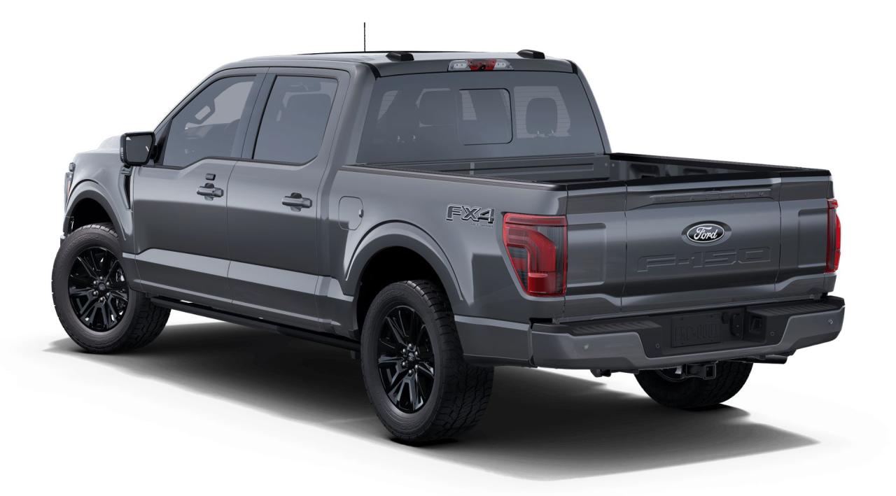 2025 Ford F-150 4x4 Platinum-145 Photo1