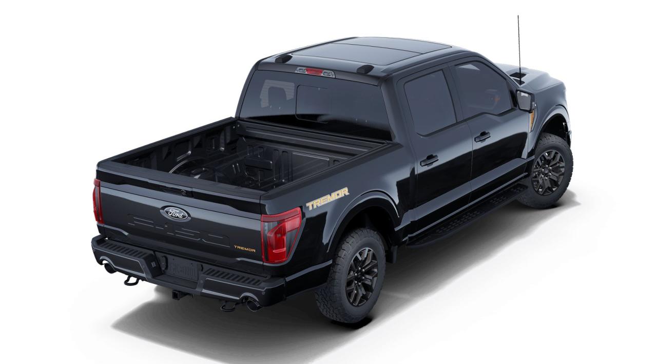 2025 Ford F-150 Tremor Photo2