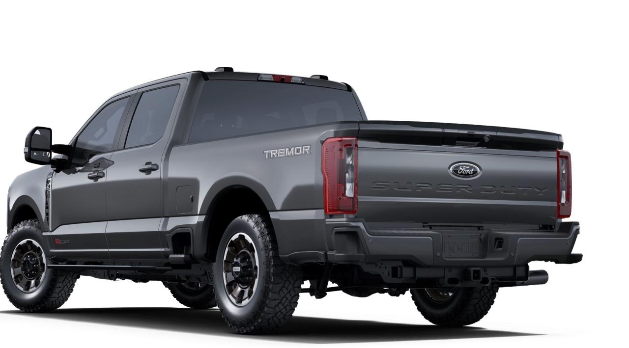 2025 Ford SUPERDUTY F-350® XLT Photo