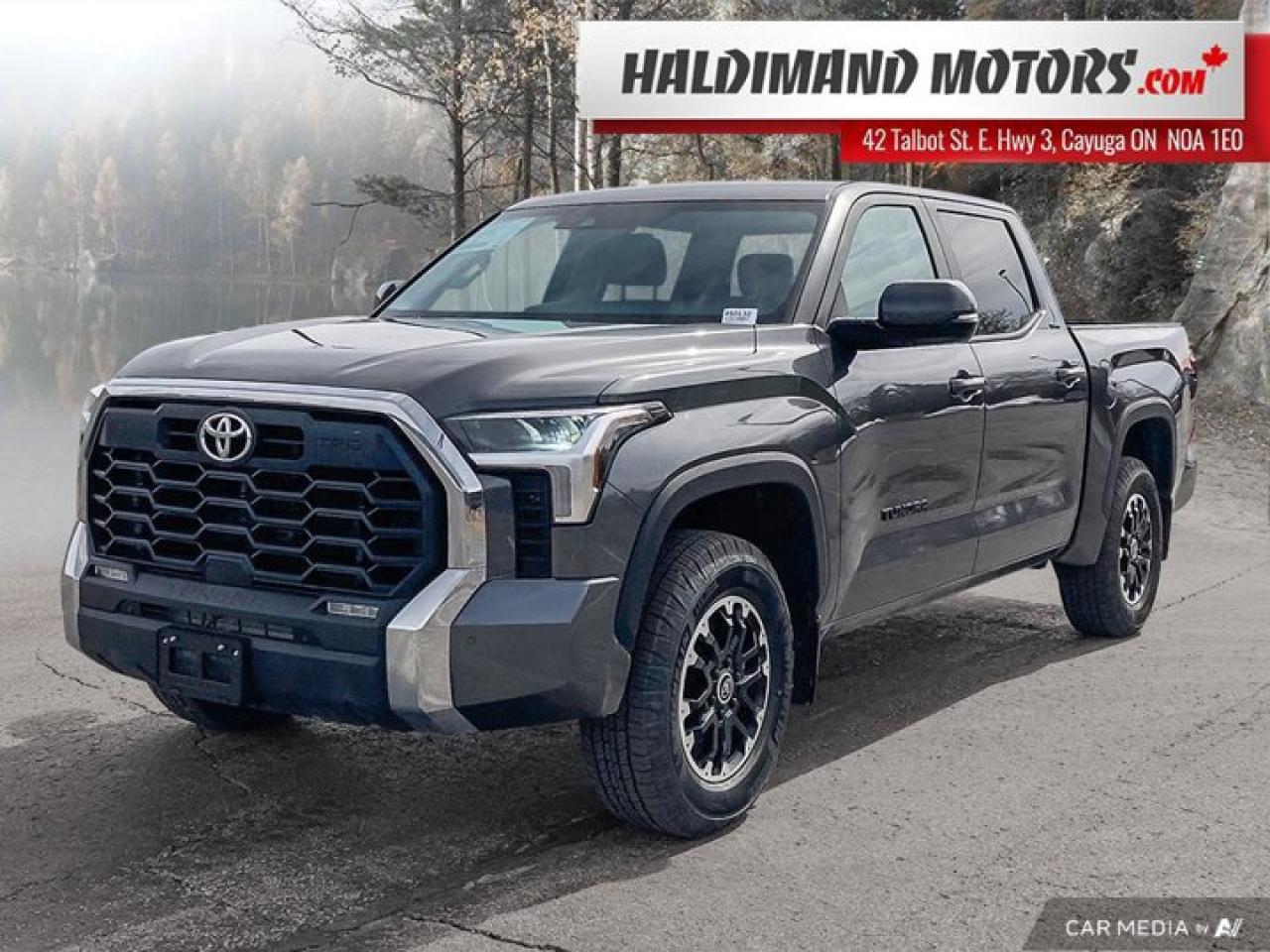 Used 2024 Toyota Tundra SR5 TRD for sale in Cayuga, ON