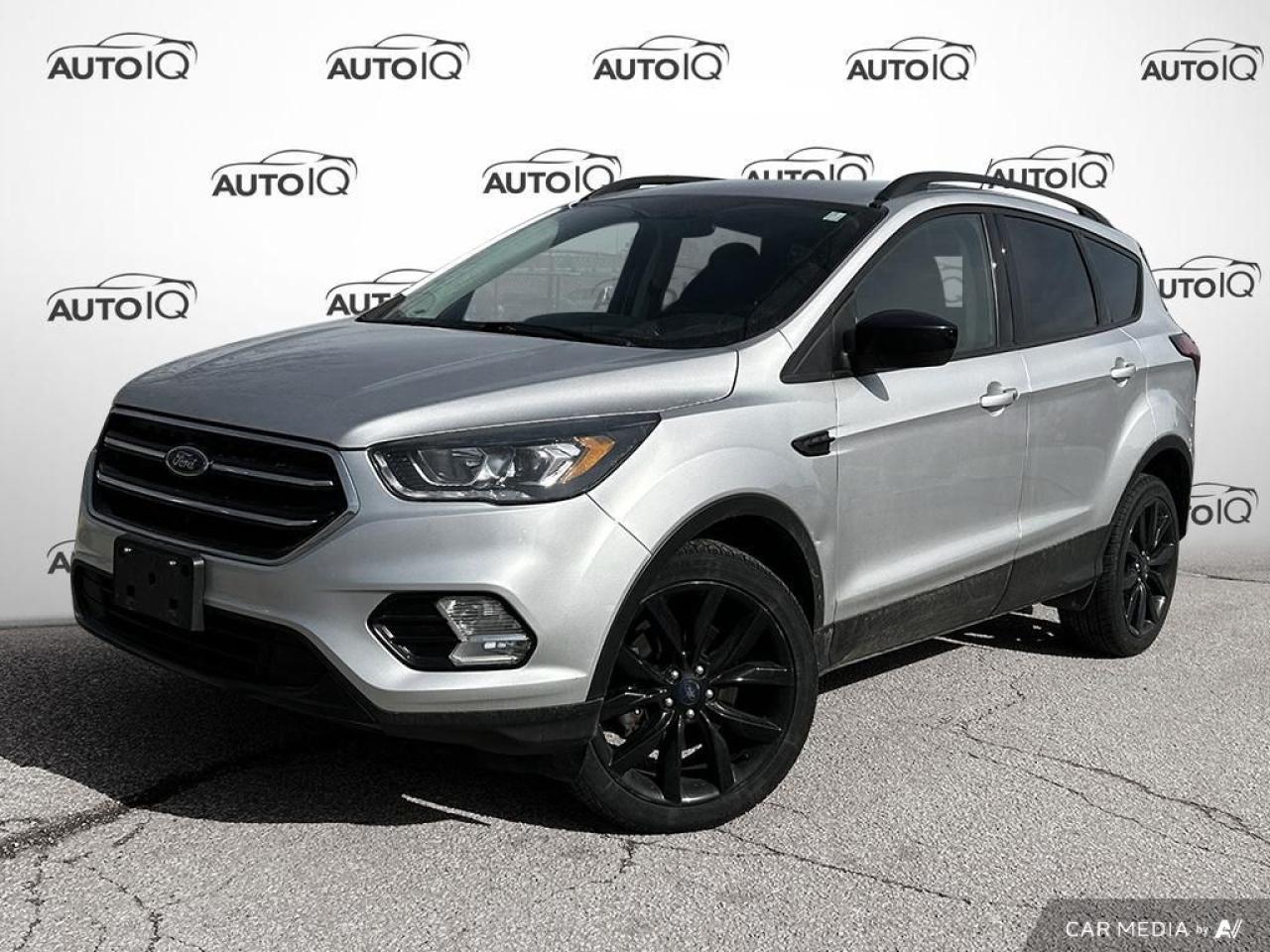 Used 2019 Ford Escape SE for sale in Oakville, ON