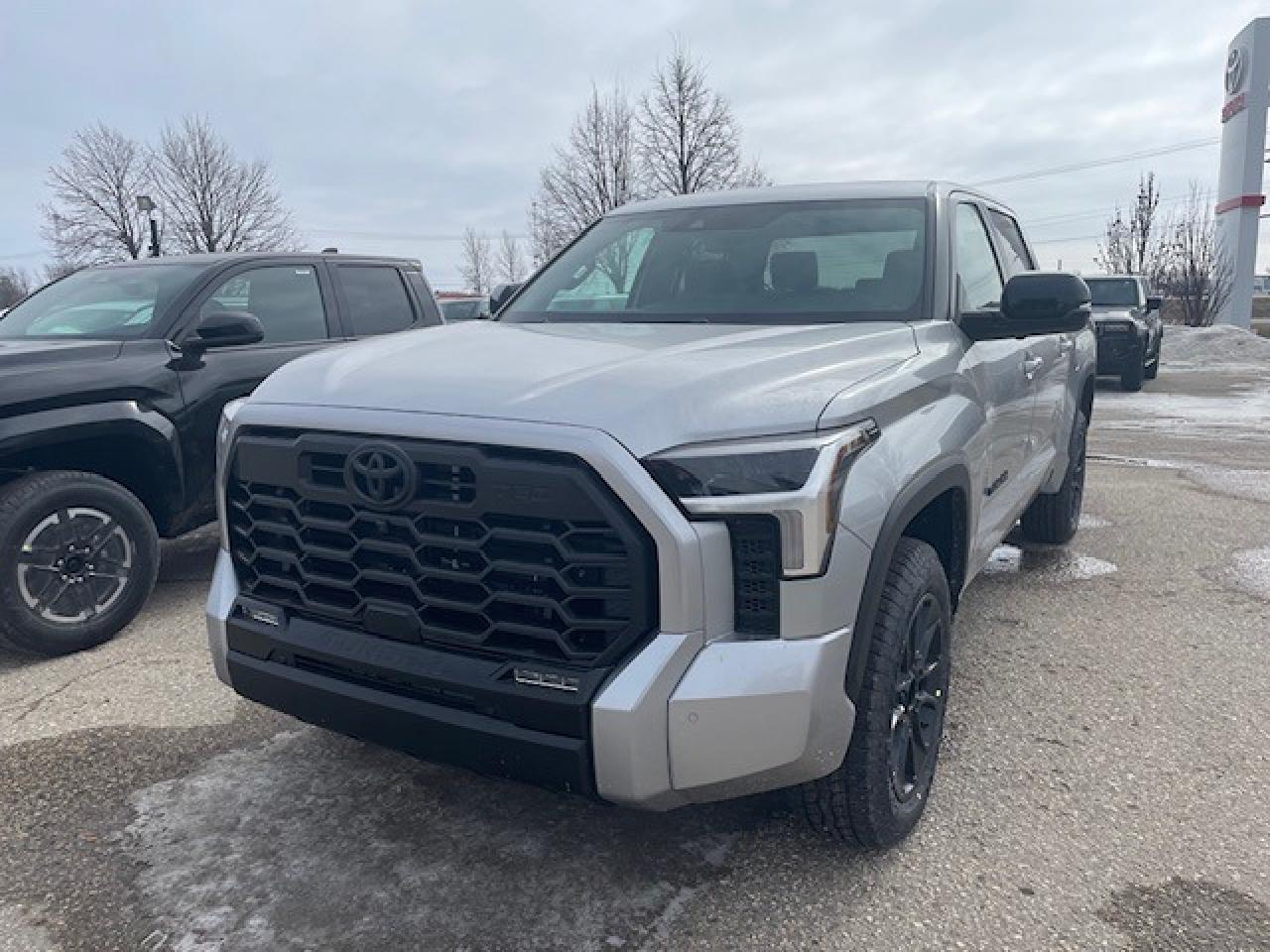 New 2025 Toyota Tundra TRD OFF ROAD LIMITED for sale in Portage la Prairie, MB