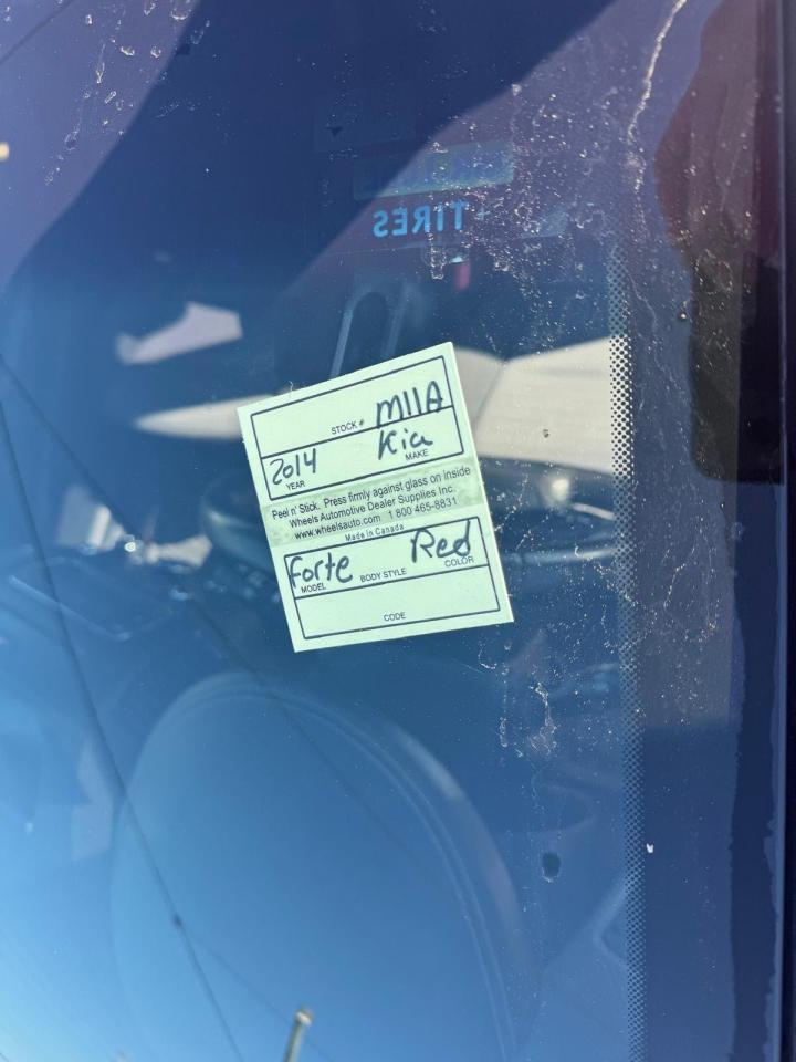 1741831017