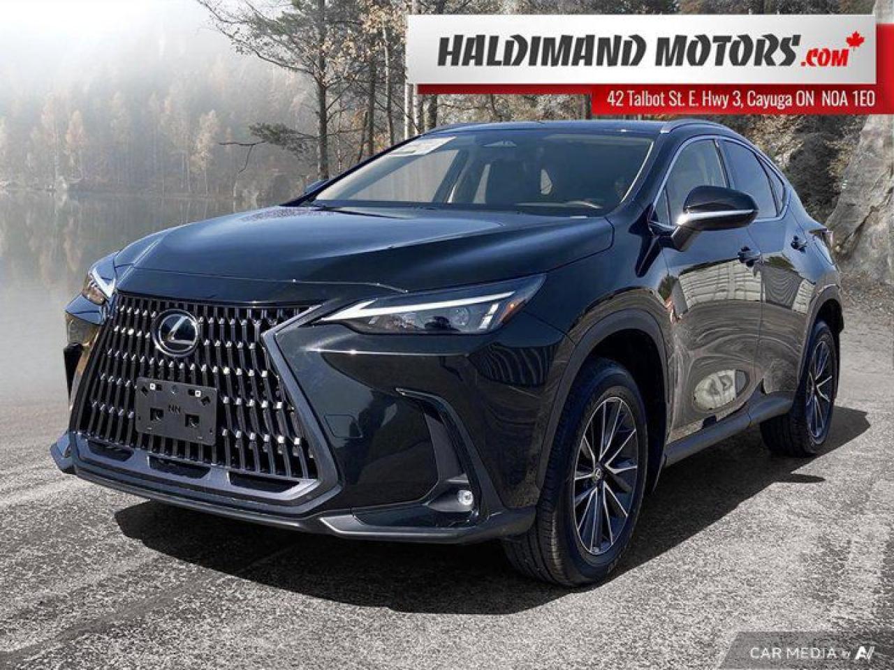 Used 2024 Lexus NX NX 250 for sale in Cayuga, ON