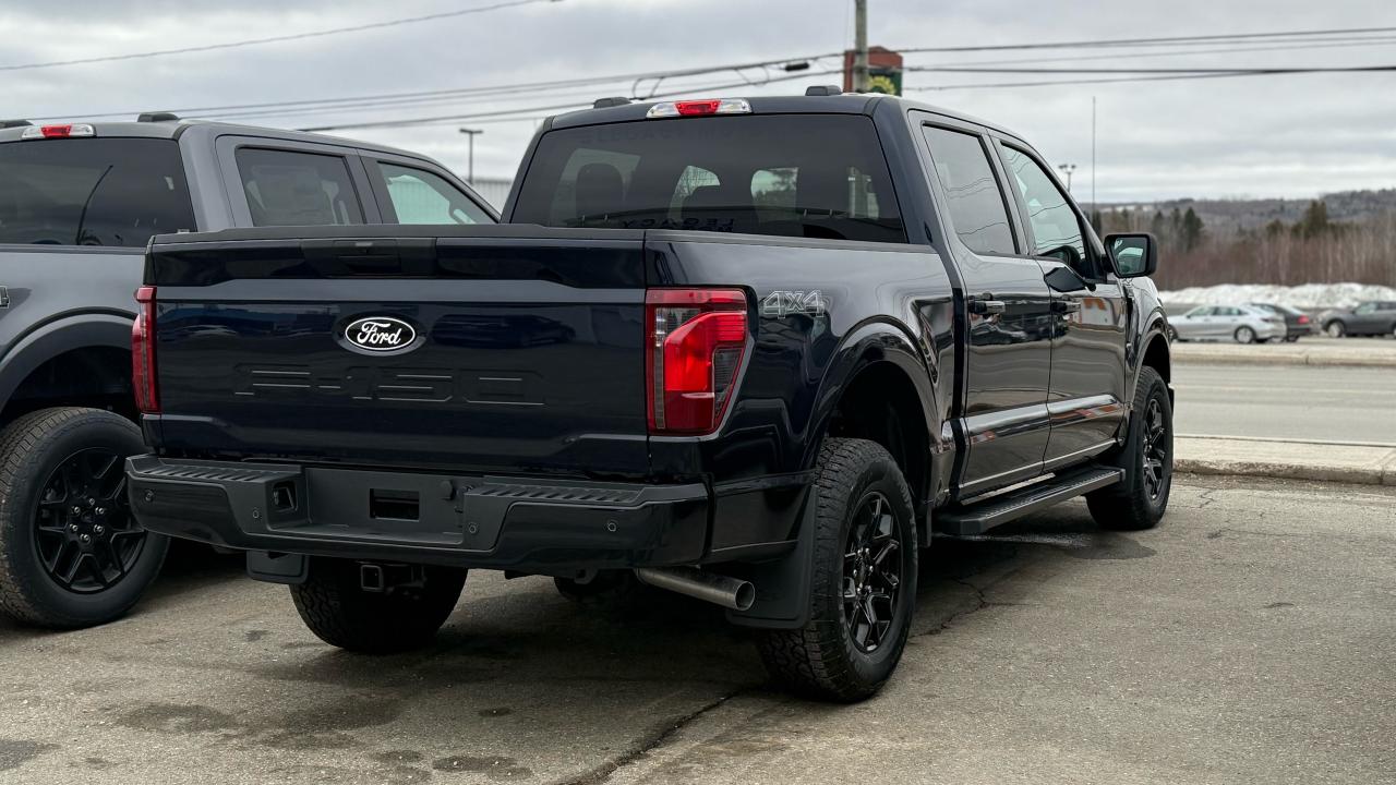 2025 Ford F-150  Photo