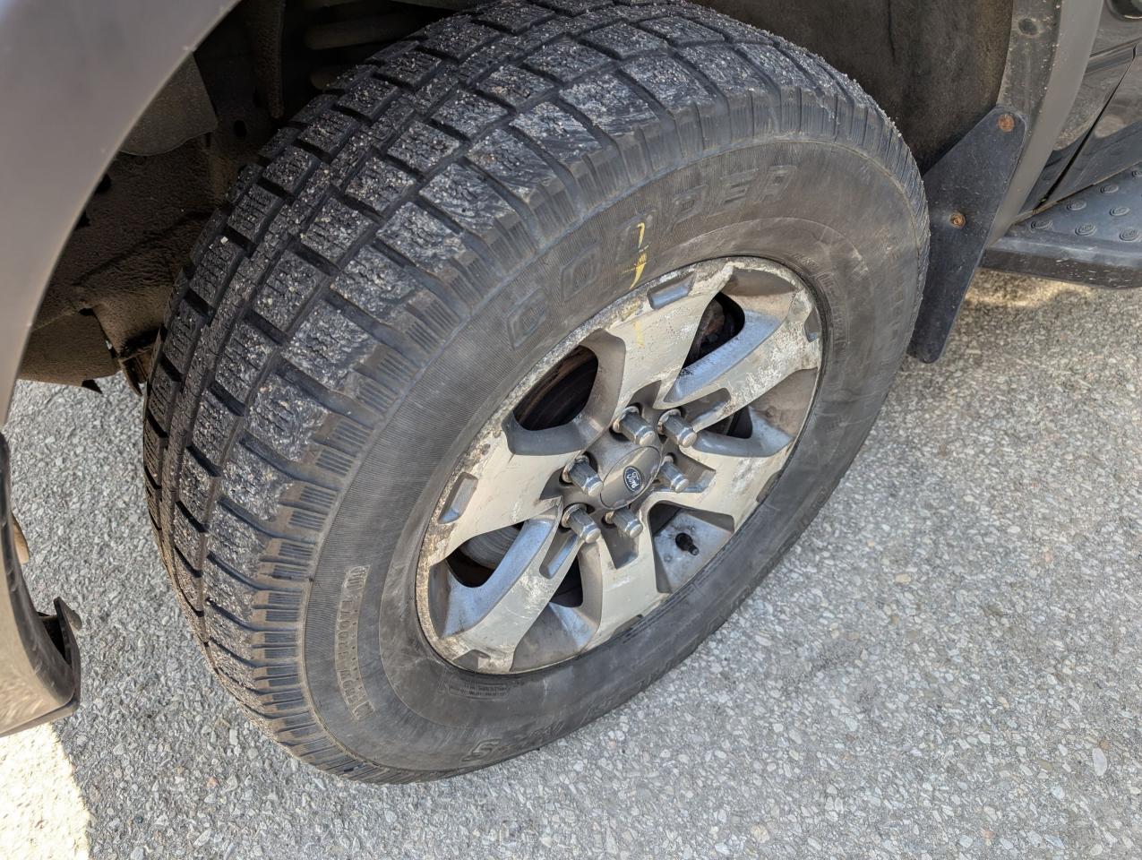 2013 Ford F-150 FX4 - Photo #8