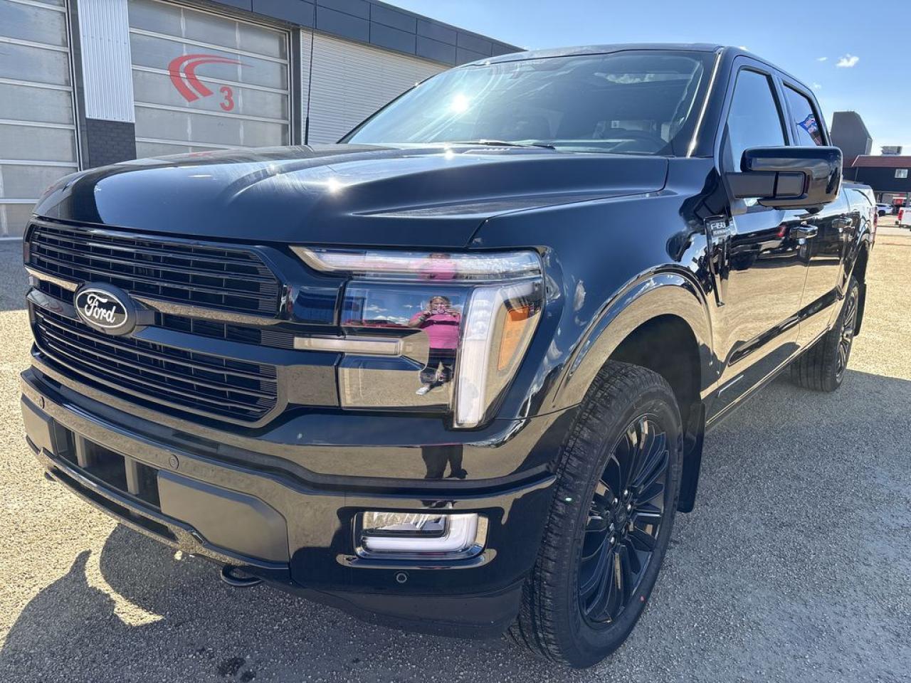 2025 Ford F-150 PLATINUM 5.5' Box 702A Photo1