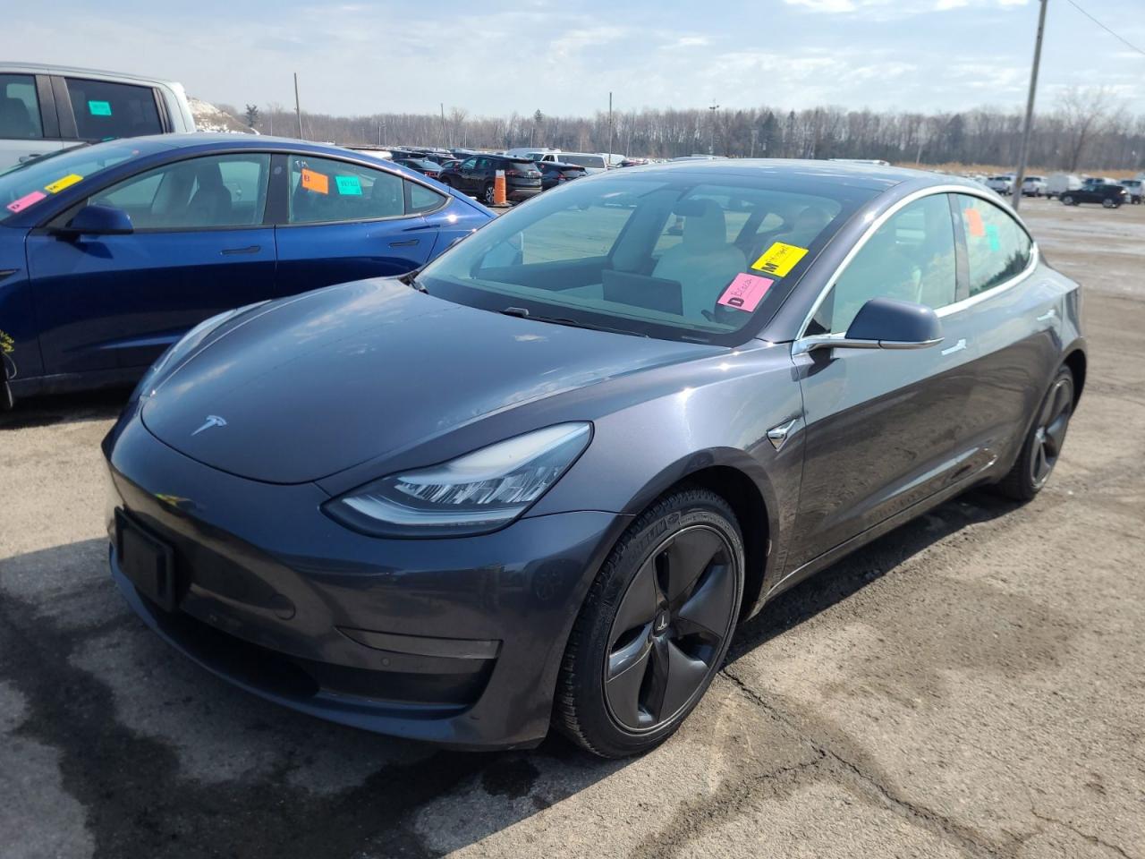 Used 2019 Tesla Model 3 Long Range AWD / Autopilot / Leather / Pano Roof for sale in Mississauga, ON