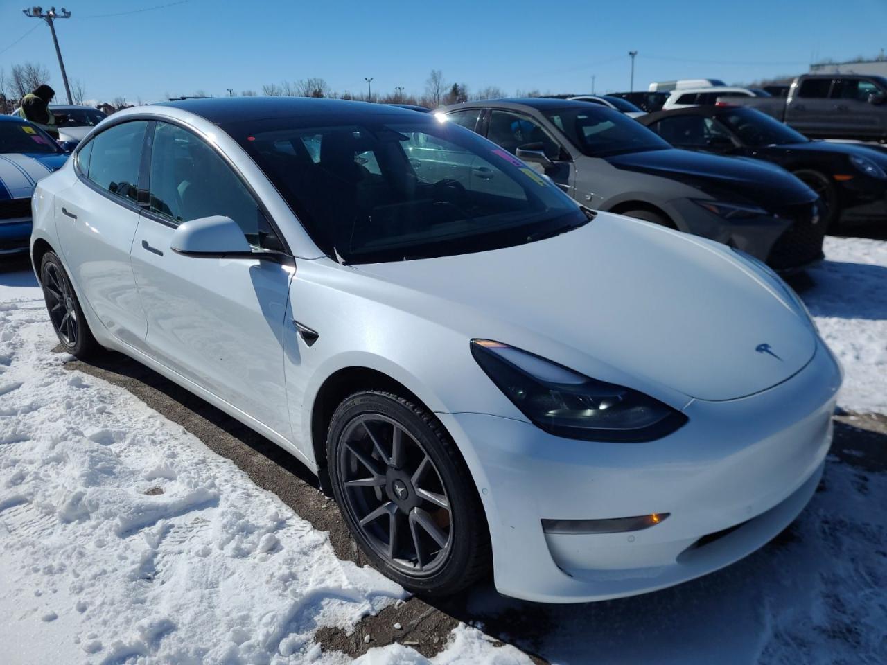 Used 2021 Tesla Model 3 SR PLUS Pearl White Pano Roof / Autopilot / Leather for sale in Mississauga, ON