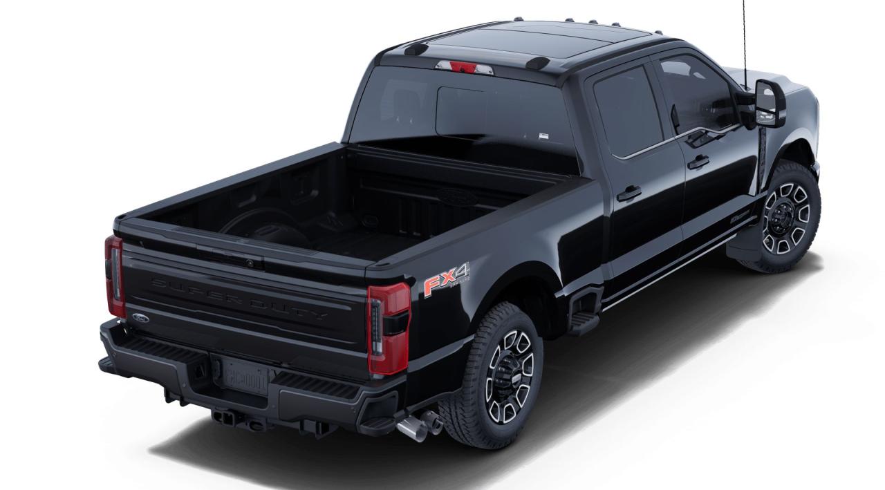 2025 Ford F-250 Super Duty SRW Platinum Photo2