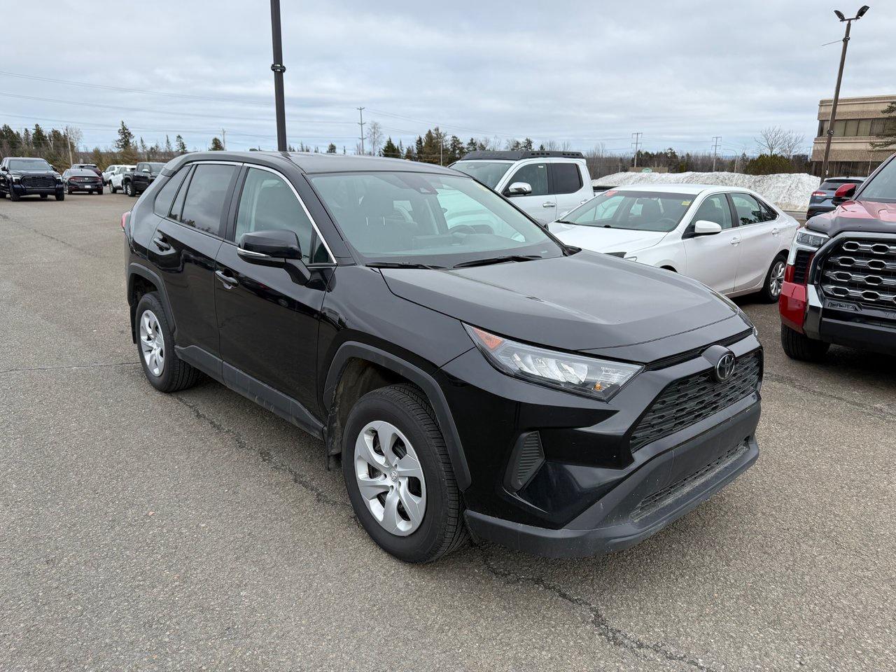 2024 Toyota RAV4 LE Photo