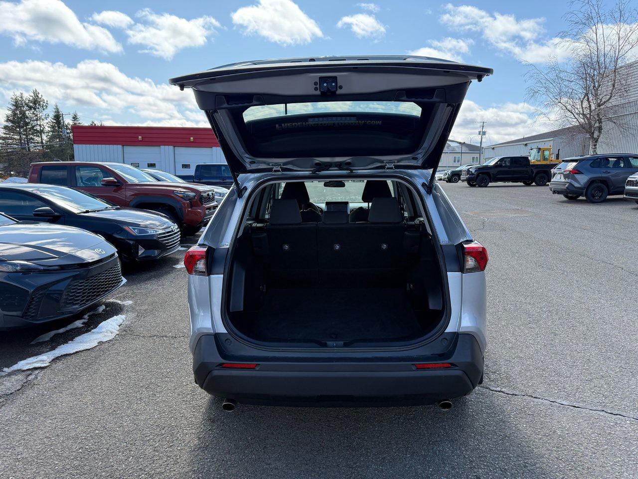 2024 Toyota RAV4 LE Photo