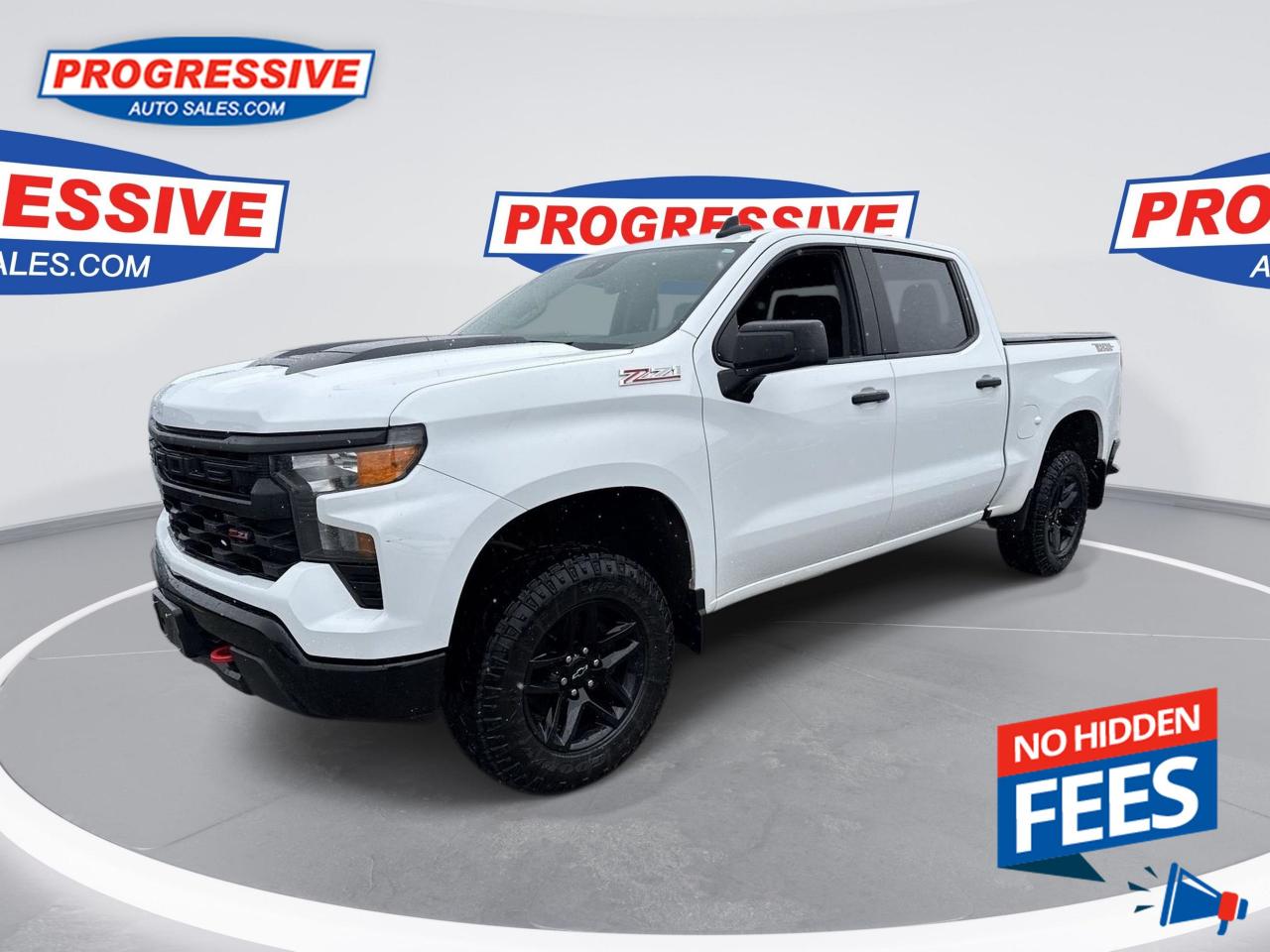Used 2022 Chevrolet Silverado 1500 Custom Trail Boss for sale in Sarnia, ON