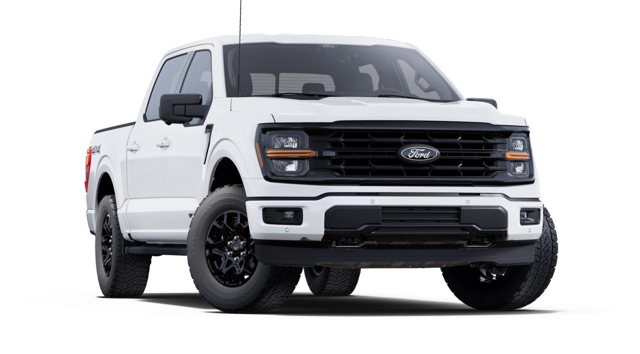 2025 Ford F-150  Photo