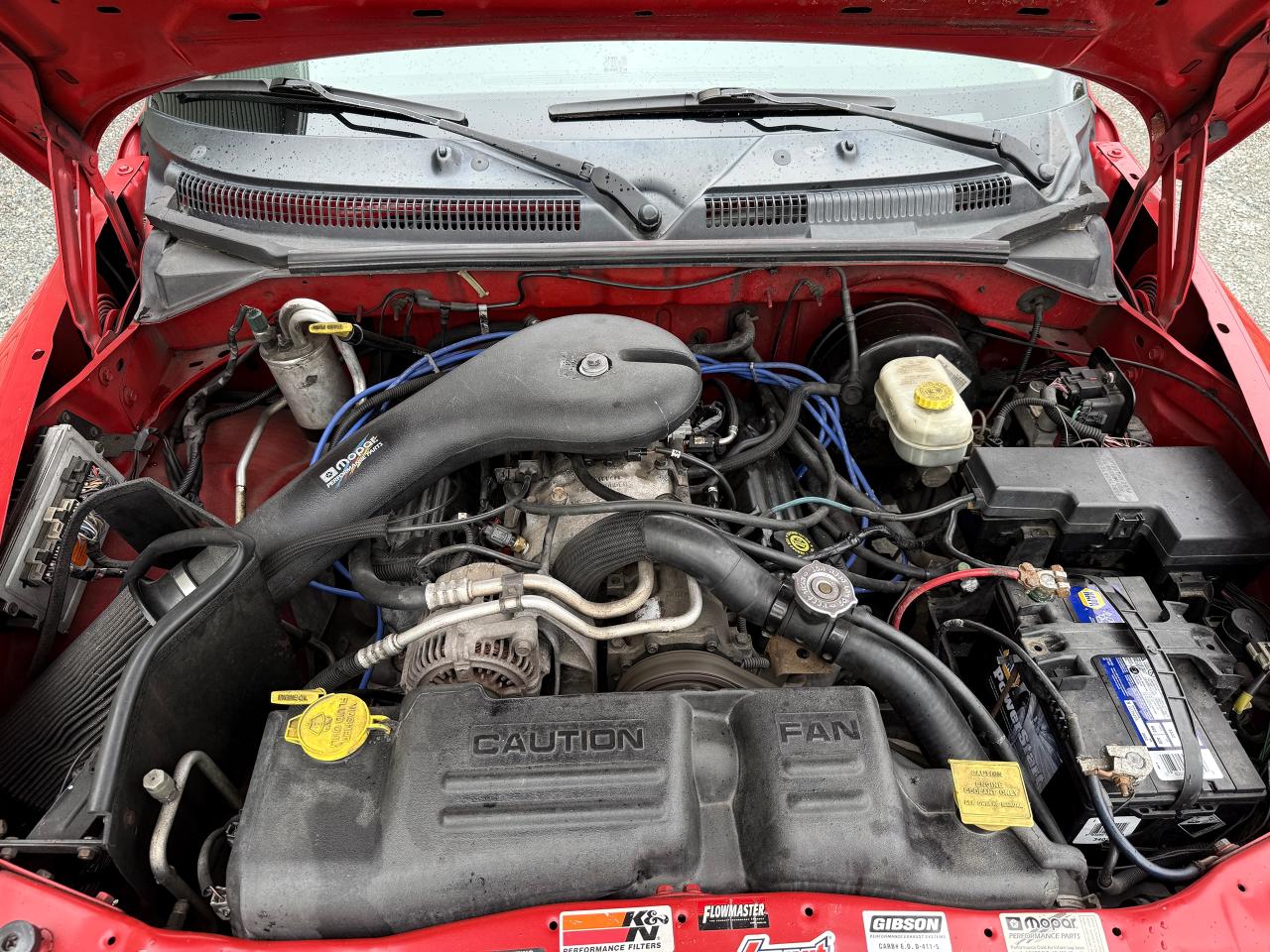 2001 Dodge Dakota RT - Photo #11