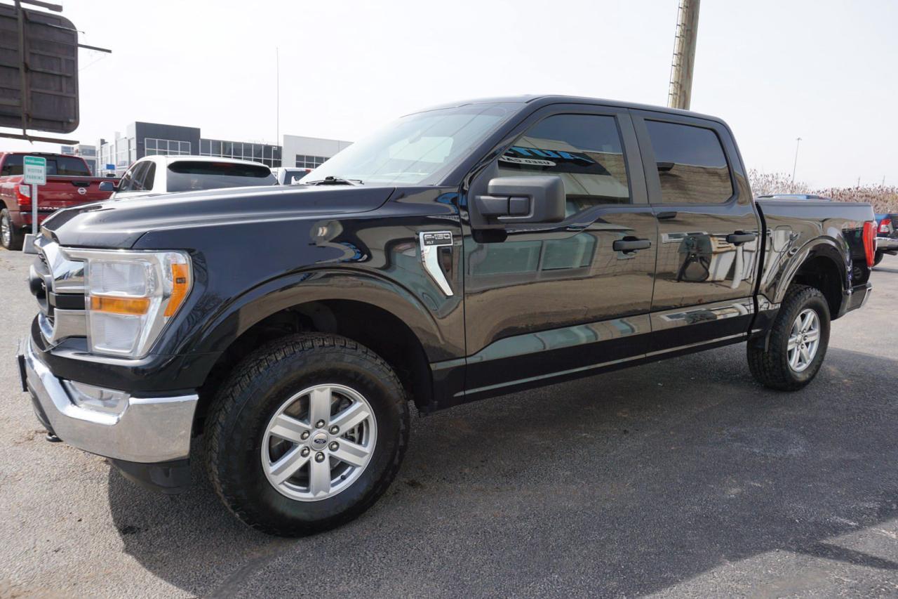 2021 Ford F-150 3.3L V6 XLT CREW 4WD CERTIFIED CAMERA BLUETOOTH CRUISE ALLOYS - Photo #3