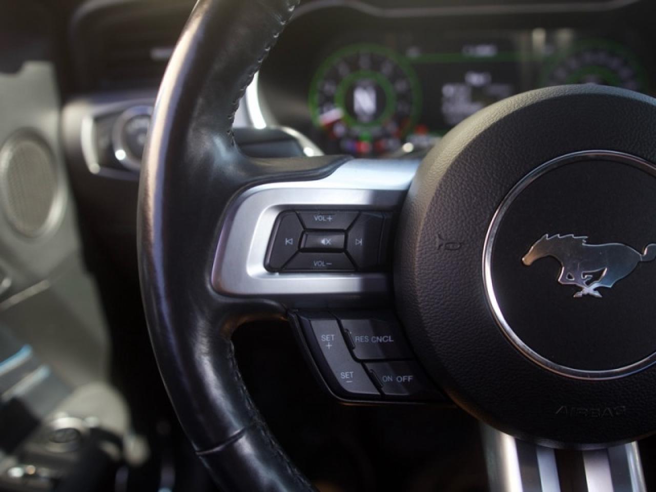 2020 Ford Mustang GT Premium Fastback  **LOW KMS - 1 OWNER** Photo