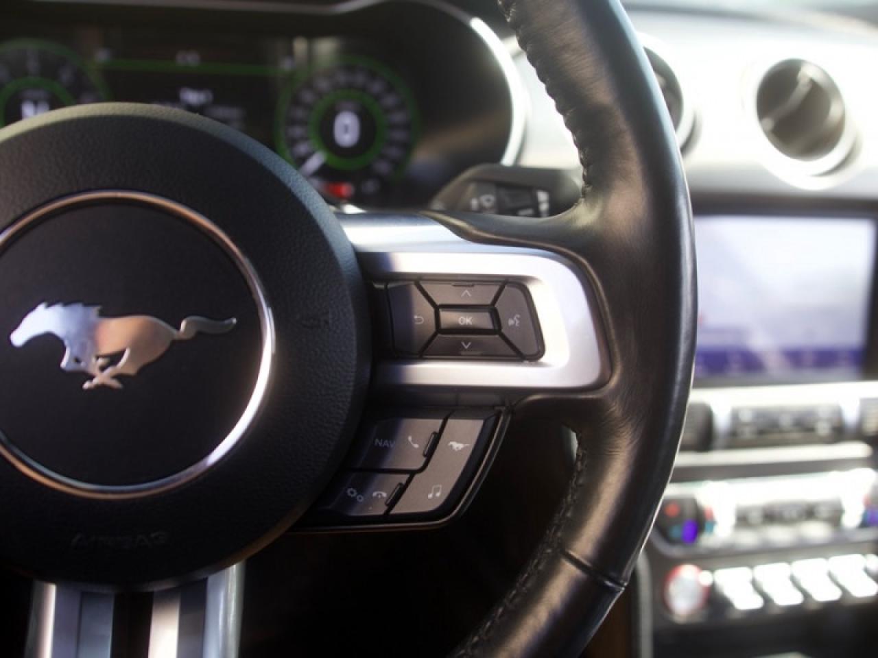 2020 Ford Mustang GT Premium Fastback  **LOW KMS - 1 OWNER** Photo