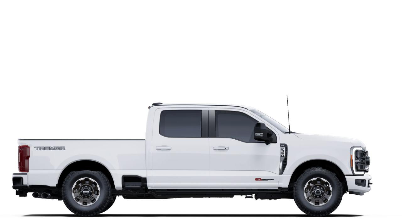 2025 Ford SUPERDUTY F-350® XLT Photo4