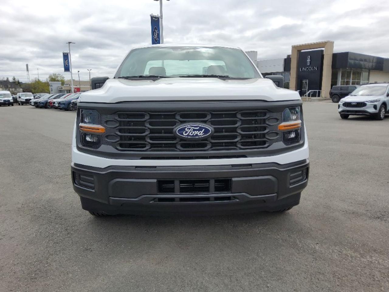 2025 Ford F-150 XL Photo