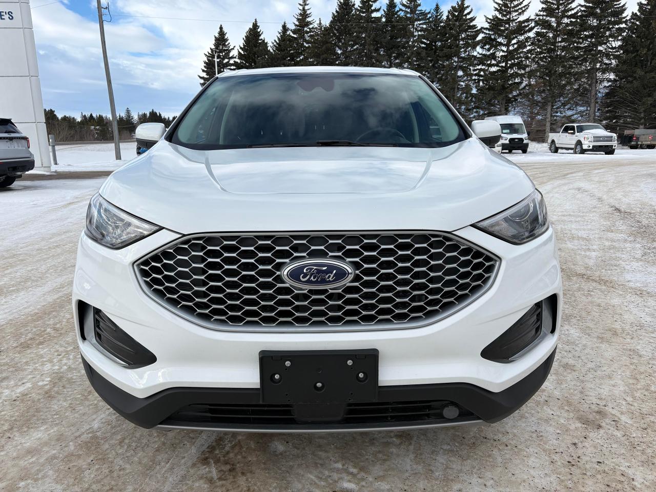 2023 Ford Edge SEL AWD Photo2