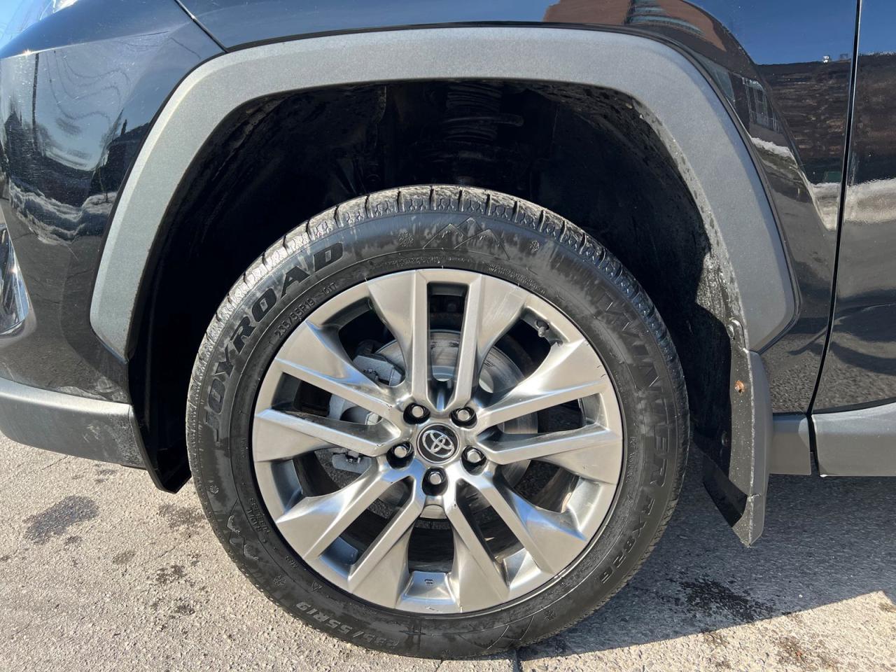 2019 Toyota RAV4 LIMITED AWD - Photo #9