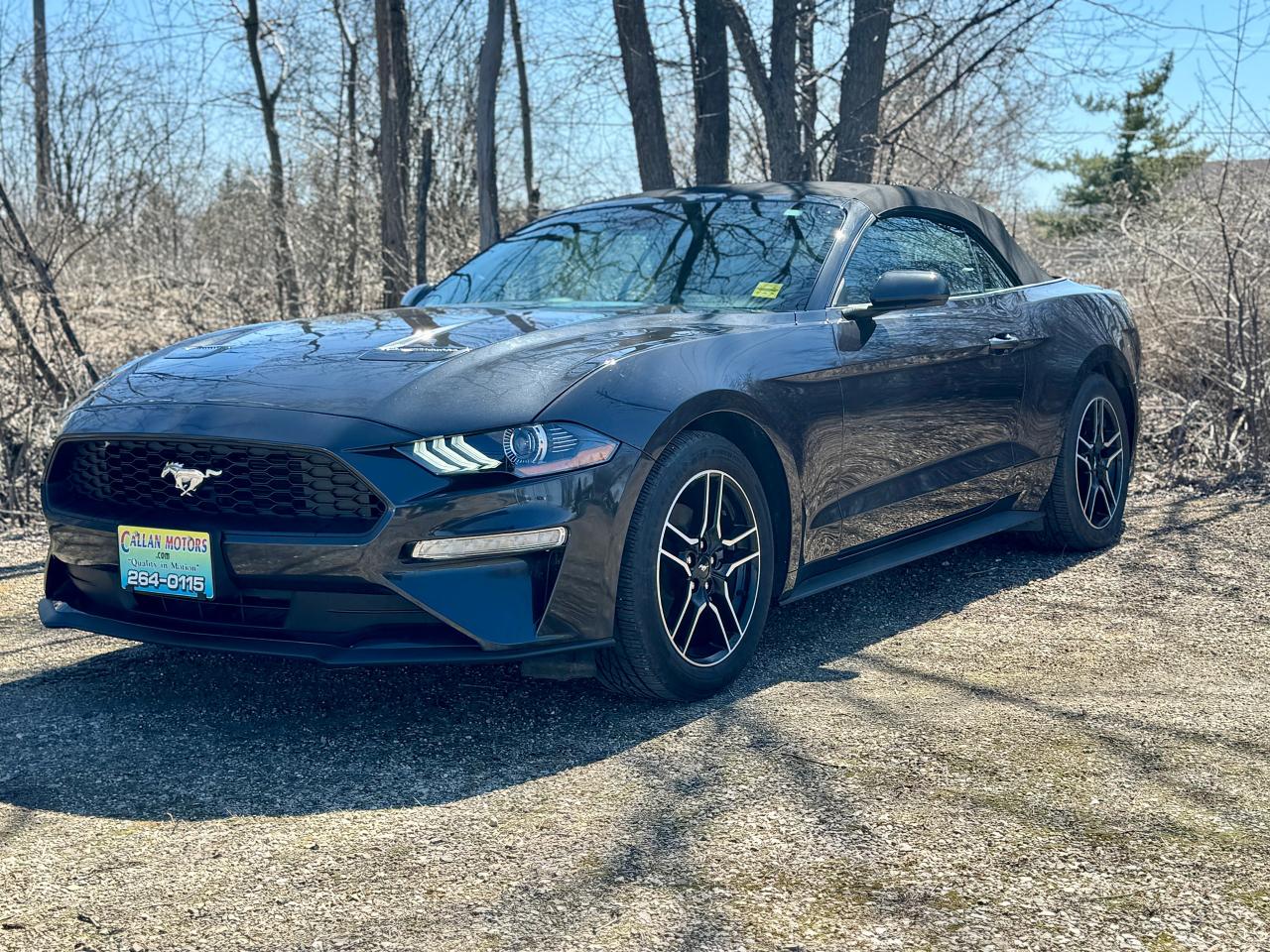 2023 Ford Mustang EcoBoost Premium Convertible - Photo #18