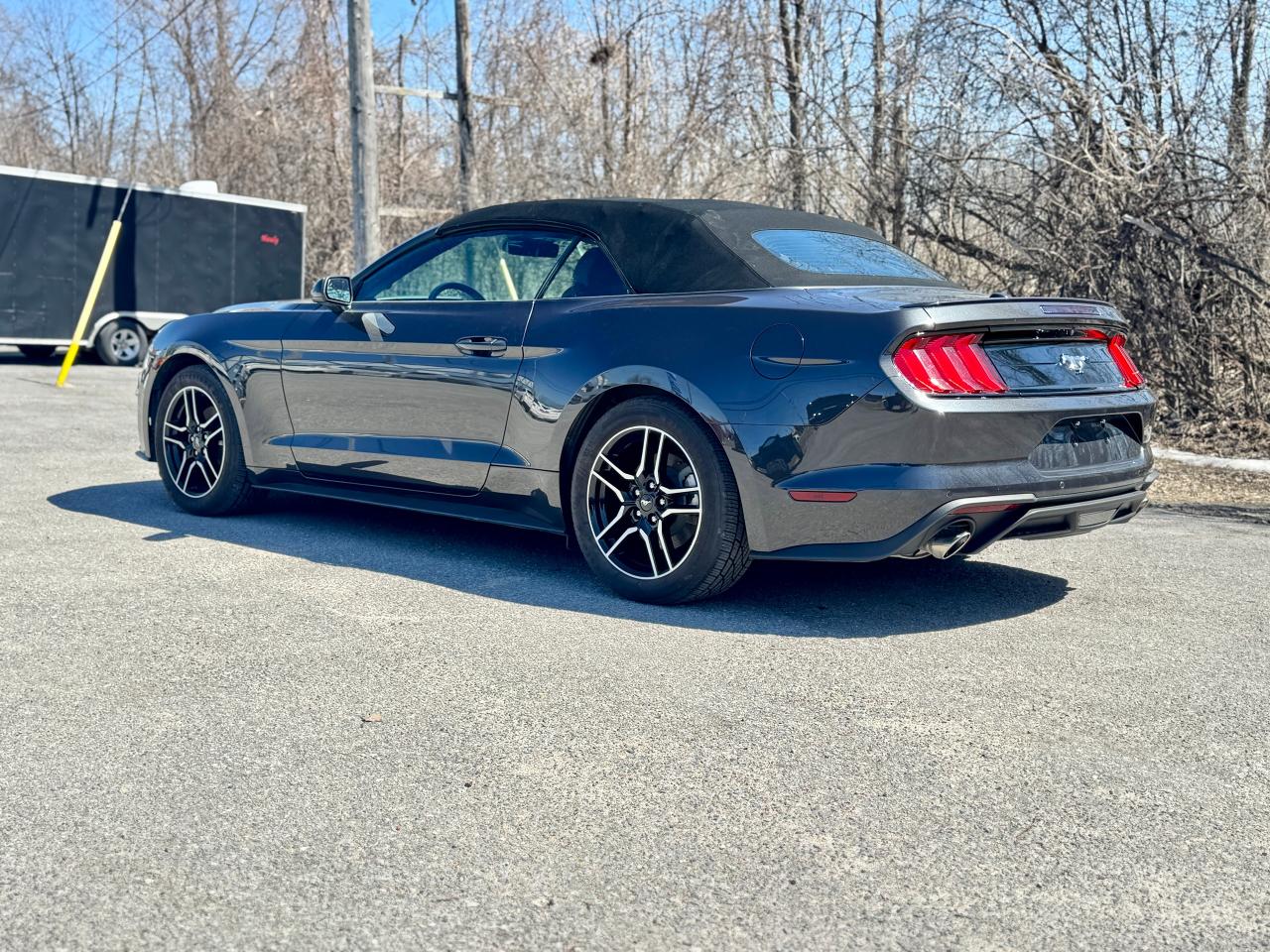 2023 Ford Mustang EcoBoost Premium Convertible - Photo #15