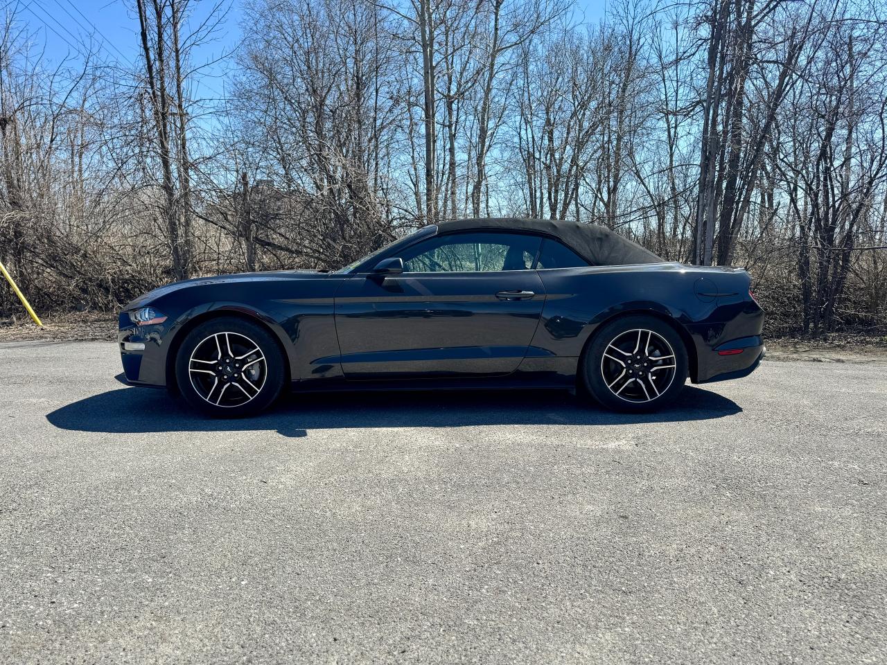 2023 Ford Mustang EcoBoost Premium Convertible - Photo #14