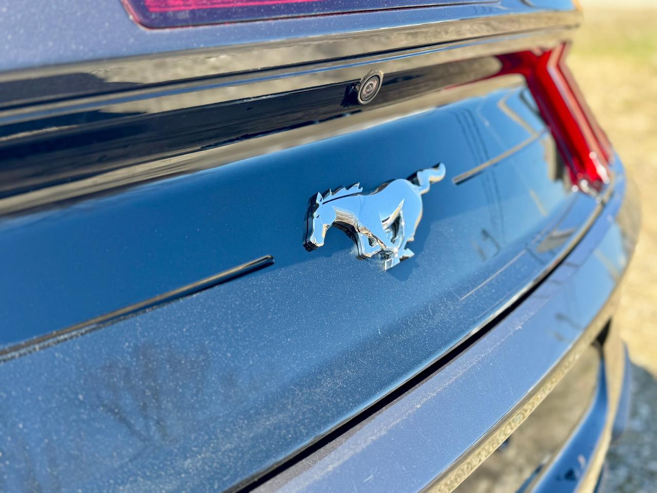 2023 Ford Mustang EcoBoost Premium Convertible - Photo #17