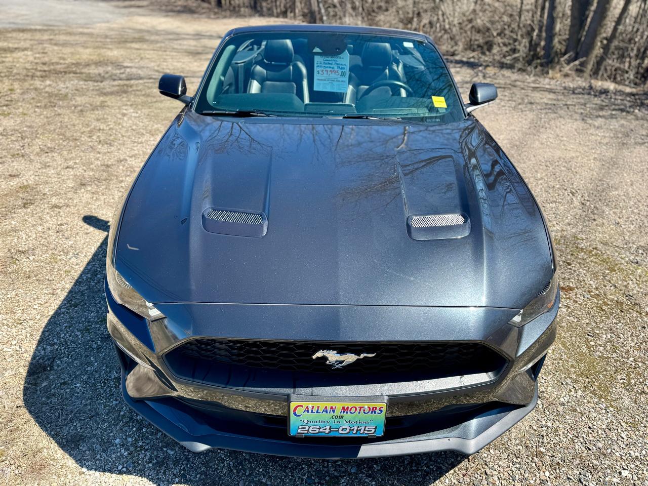 2023 Ford Mustang EcoBoost Premium Convertible - Photo #8