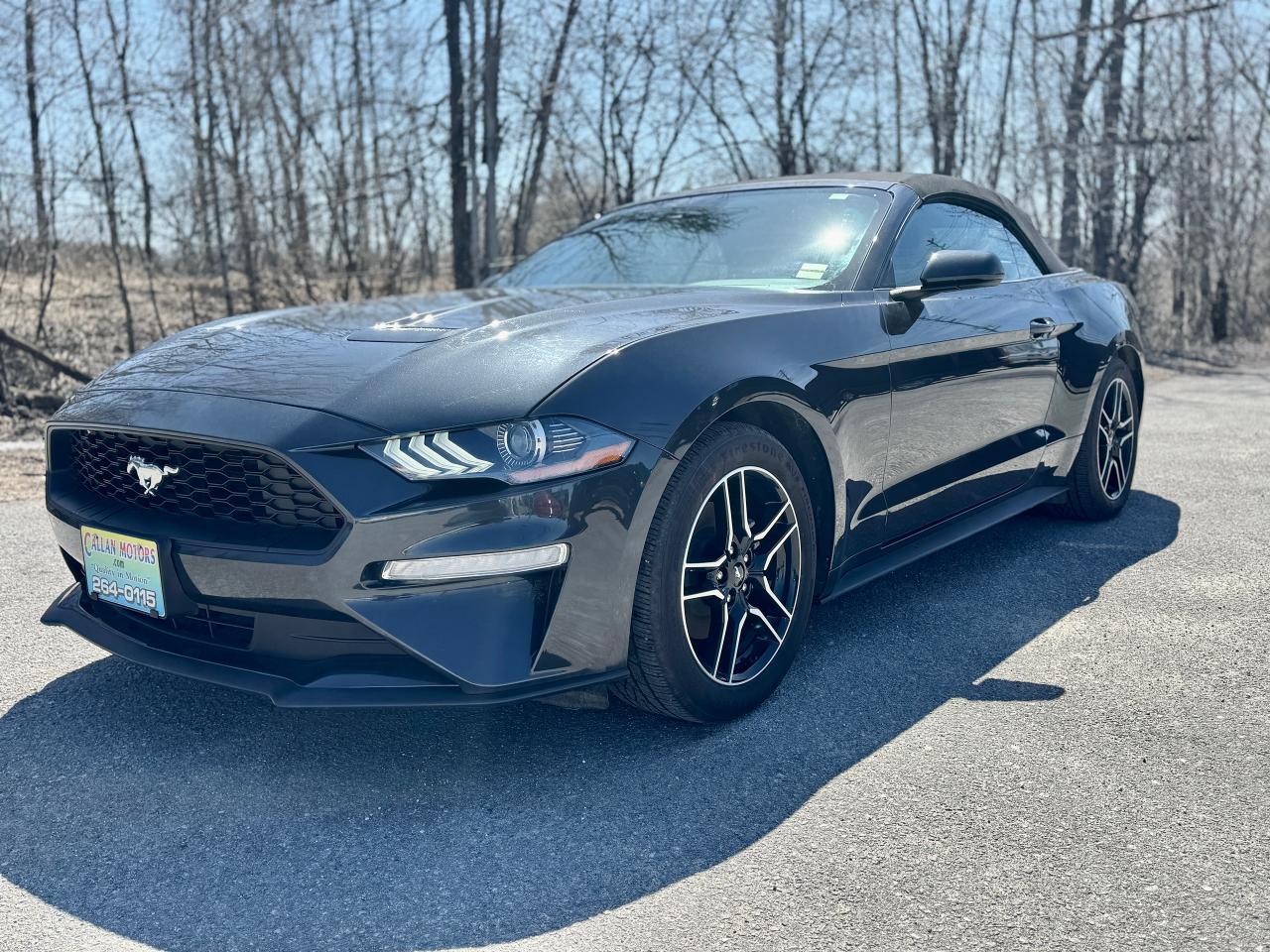 2023 Ford Mustang EcoBoost Premium Convertible - Photo #20
