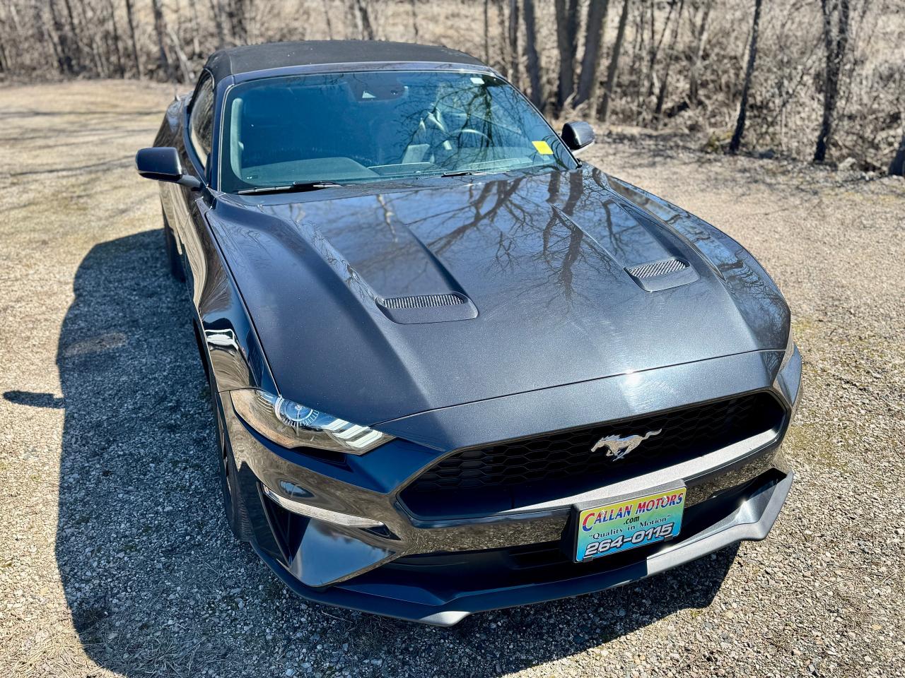 2023 Ford Mustang EcoBoost Premium Convertible - Photo #9