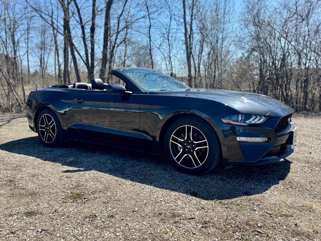 2023 Ford Mustang EcoBoost Premium Convertible - Photo #5