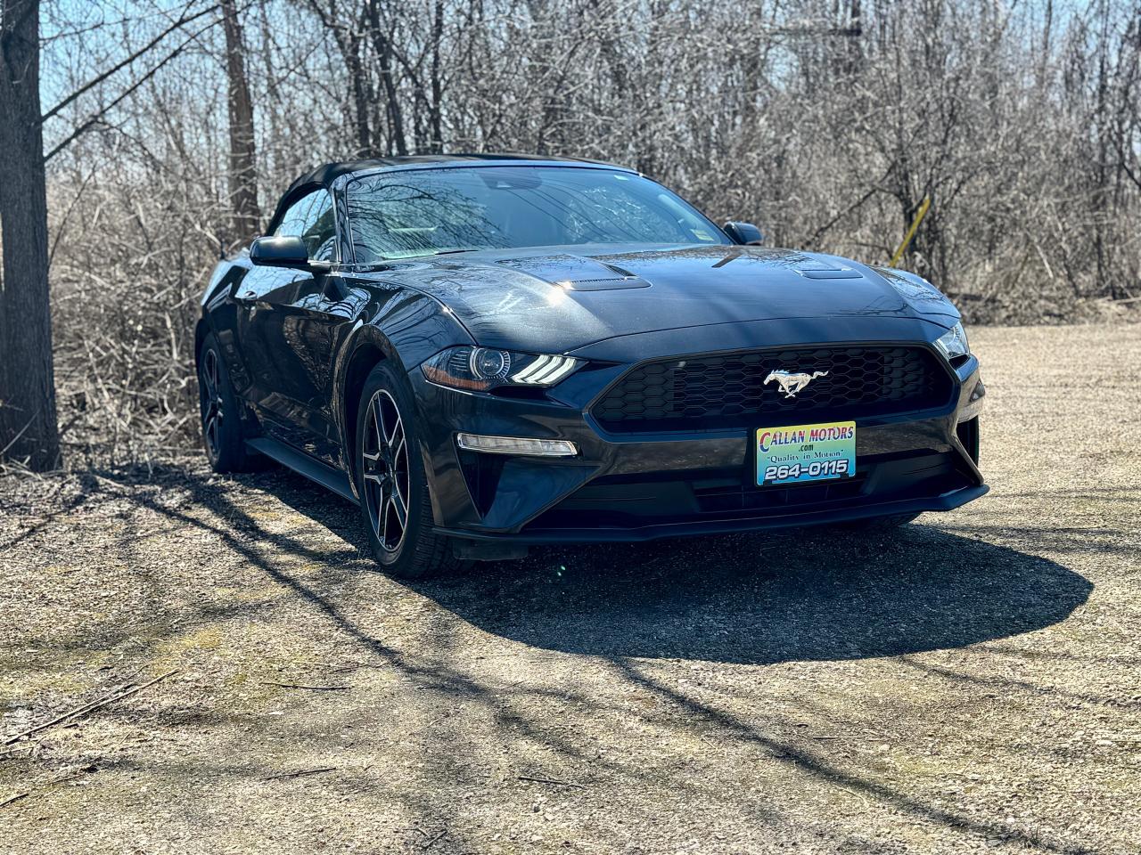 2023 Ford Mustang EcoBoost Premium Convertible - Photo #12