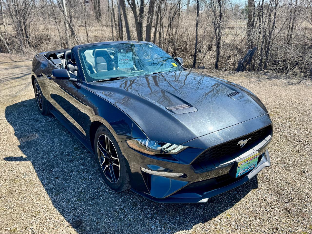2023 Ford Mustang EcoBoost Premium Convertible - Photo #3