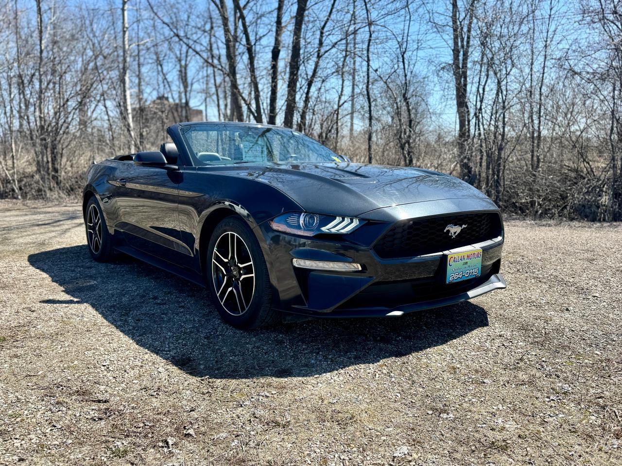 2023 Ford Mustang EcoBoost Premium Convertible - Photo #4
